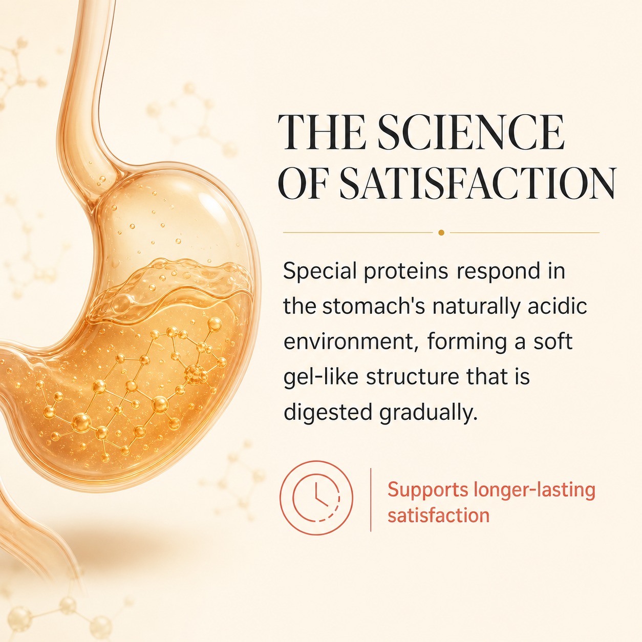 How Cookie Diet special proteins support longer-lasting satisfaction